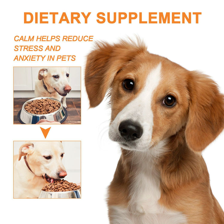 Pet Cat And Dog Diet Care To Enhance Physical Fitness And Nutritional Supplements