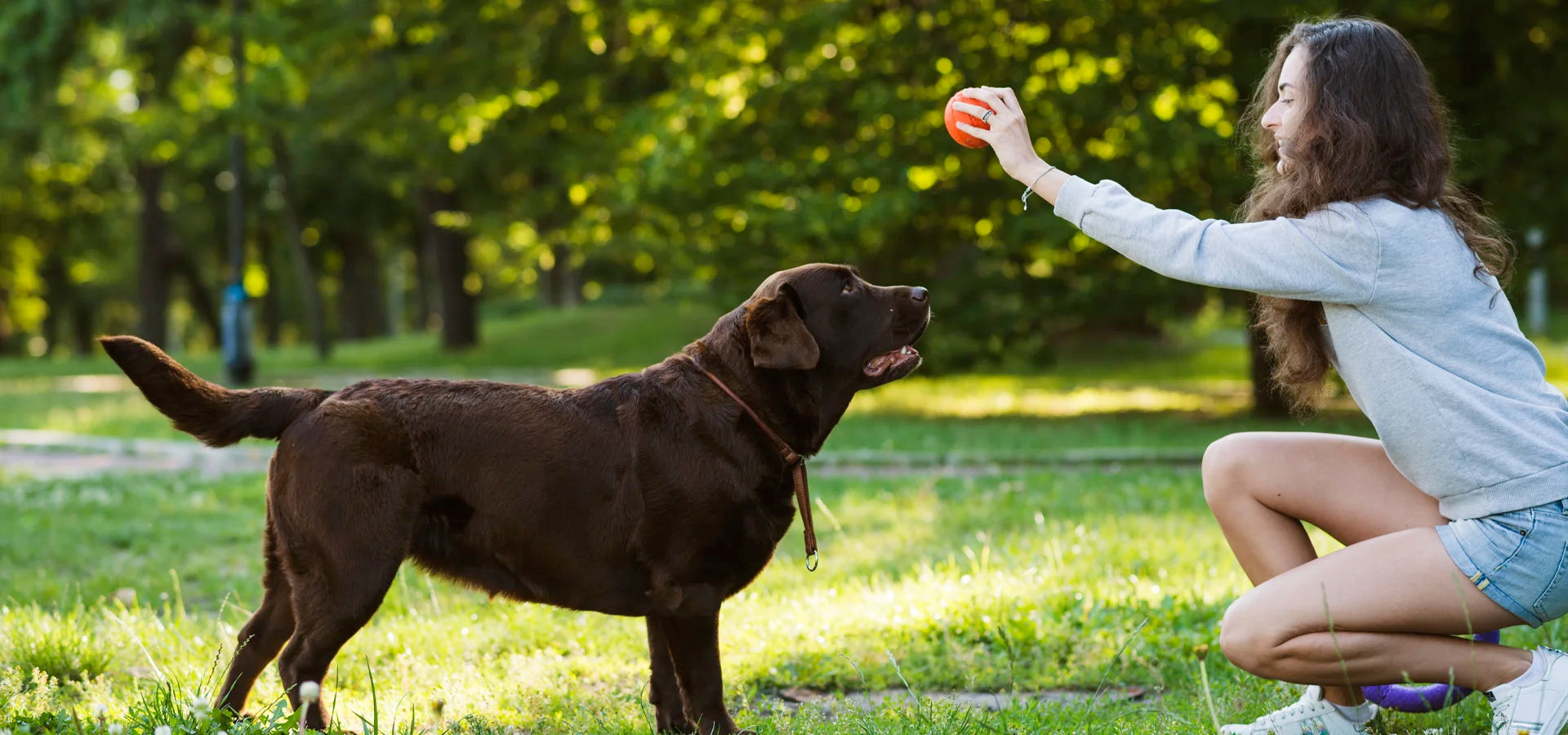 Better Health, Happier Dog